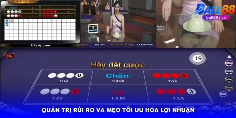 Quản trị rủi ro và mẹo tối ưu hóa lợi nhuận